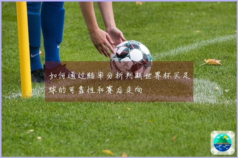 如何通过赔率分析判断世界杯买足球的可靠性和赛后走向