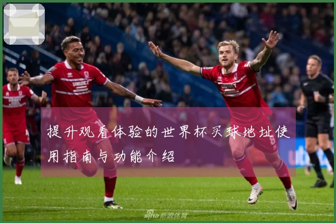 提升观看体验的世界杯买球地址使用指南与功能介绍
