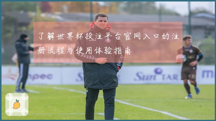 了解世界杯投注平台官网入口的注册流程与使用体验指南