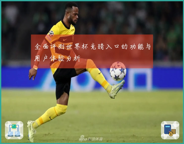 全面评测世界杯竞猜入口的功能与用户体验分析