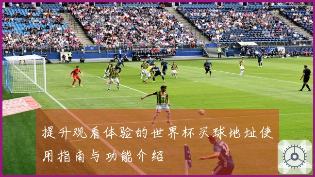 提升观看体验的世界杯买球地址使用指南与功能介绍