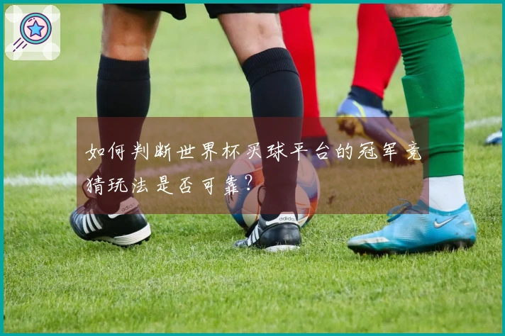 如何判断世界杯买球平台的冠军竞猜玩法是否可靠？